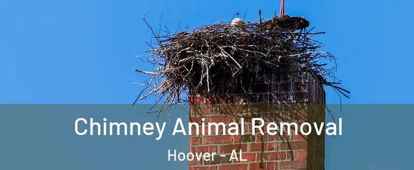  Chimney Animal Removal Hoover - AL