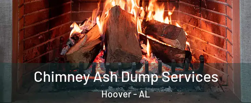  Chimney Ash Dump Services Hoover - AL