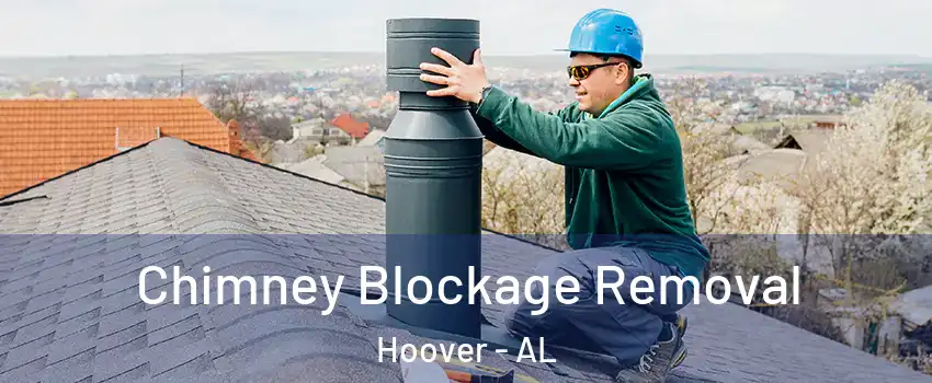  Chimney Blockage Removal Hoover - AL