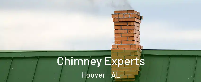 Chimney Experts Hoover - AL