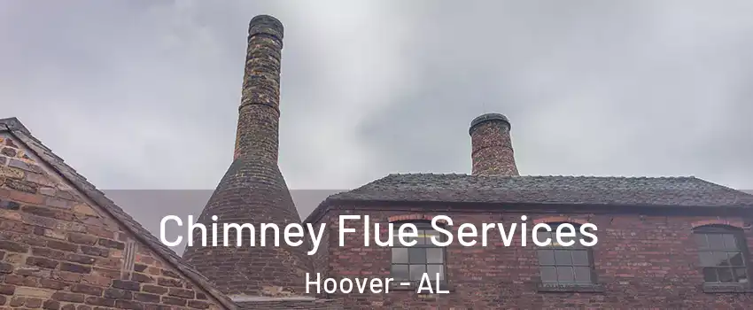  Chimney Flue Services Hoover - AL
