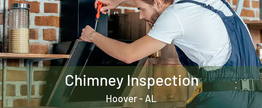  Chimney Inspection Hoover - AL