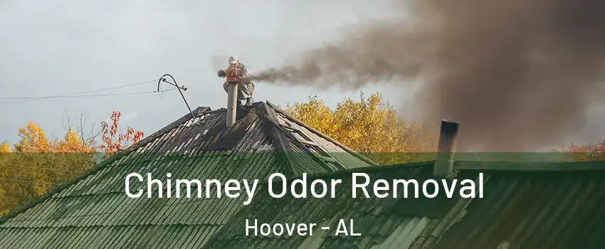  Chimney Odor Removal Hoover - AL