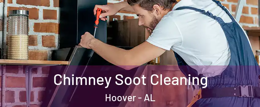  Chimney Soot Cleaning Hoover - AL
