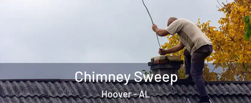  Chimney Sweep Hoover - AL