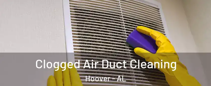  Clogged Air Duct Cleaning Hoover - AL