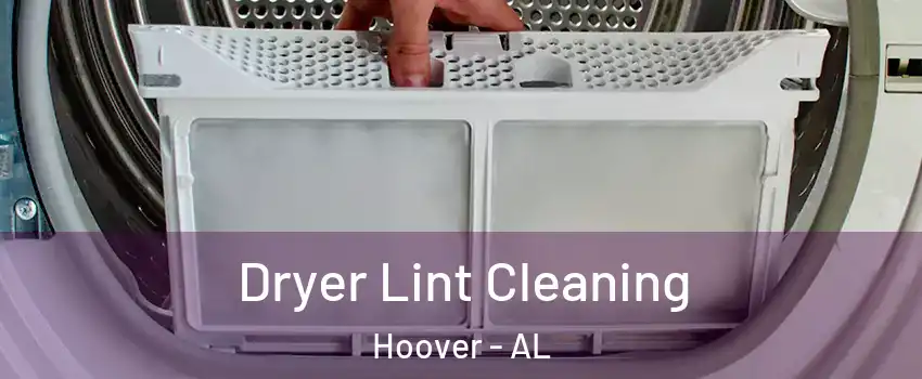  Dryer Lint Cleaning Hoover - AL