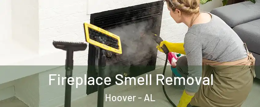  Fireplace Smell Removal Hoover - AL