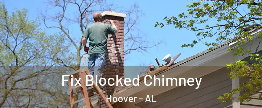  Fix Blocked Chimney Hoover - AL