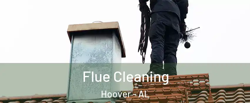  Flue Cleaning Hoover - AL