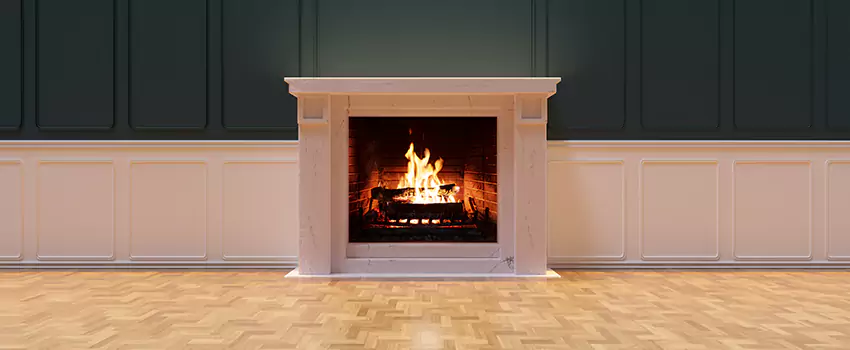 Napoleon Electric Fireplaces Inspection Service in Hoover, Alabama