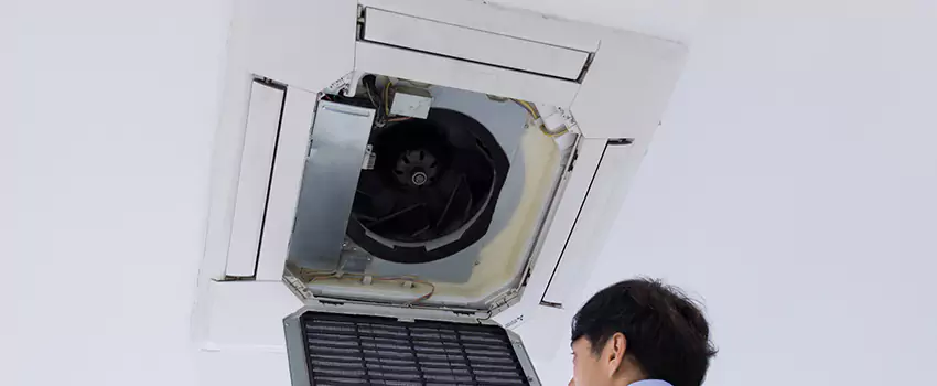 Benefits of Professional Air Duct Cleaning in Hoover, Alabama
