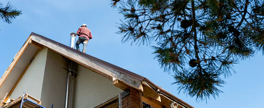 Birds Removal Contractors from Chimney in Hoover, AL