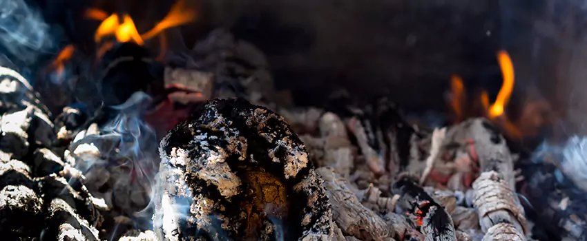 Creosote Removal Experts in Hoover, AL