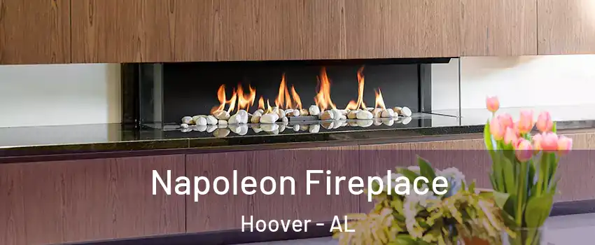  Napoleon Fireplace Hoover - AL
