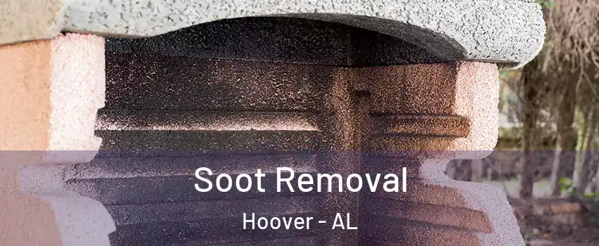 Soot Removal Hoover - AL